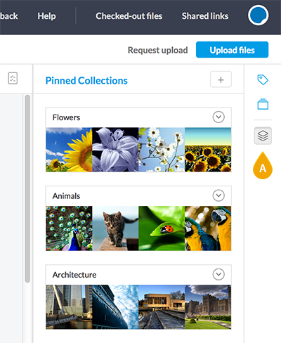 The Pinned Collections icon in Elvis 6.8 or lower