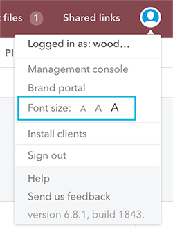 Font size options in the Avatar menu