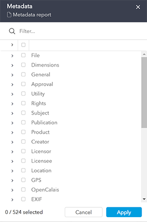 The Metadata report dialog for Assets 6.51 and earlier