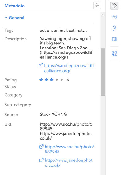 URLs displayed as hyperlinks in the Metadata panel