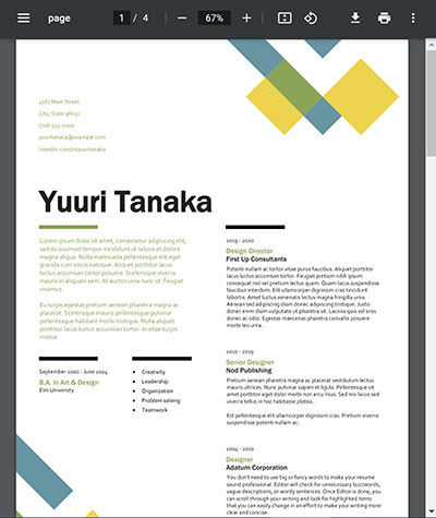 The preview of a document in PDF format