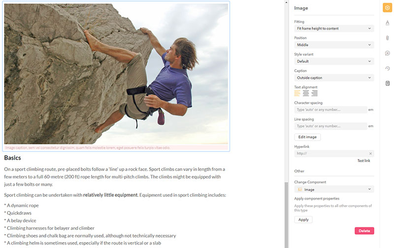 A filled image component