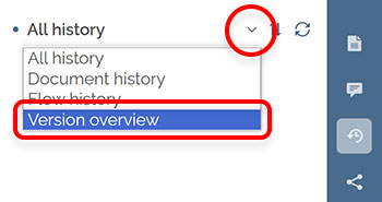 Choosing Version overview in the History panel