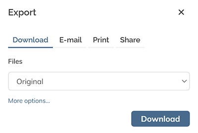The Download tab in the Export panel