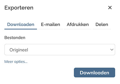 Het tabblad Downloaden in het deelvenster Exporteren