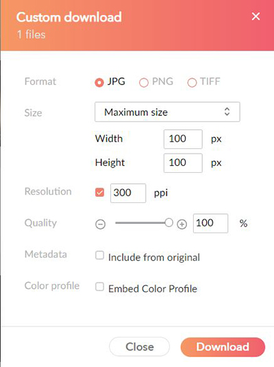 The dialog for downloading a file using custom settings