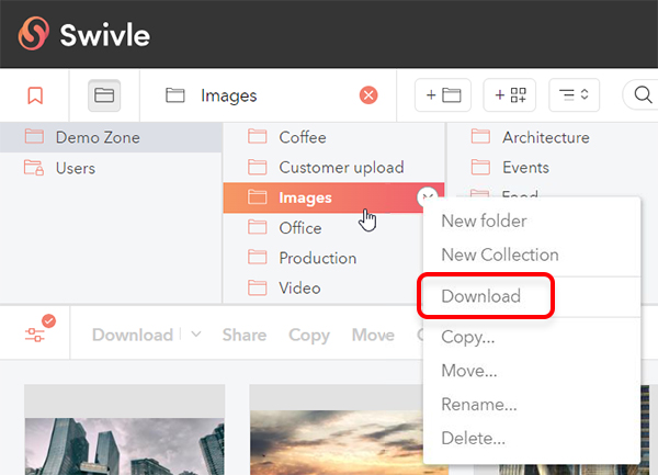 The option to download a folder and all its contents