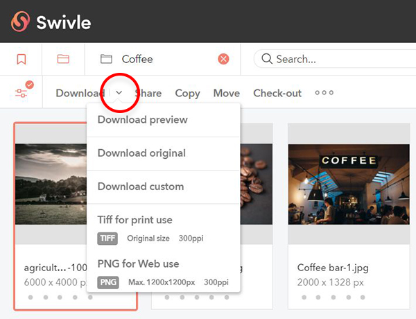 The chevron icon of the Download button to access additional download options