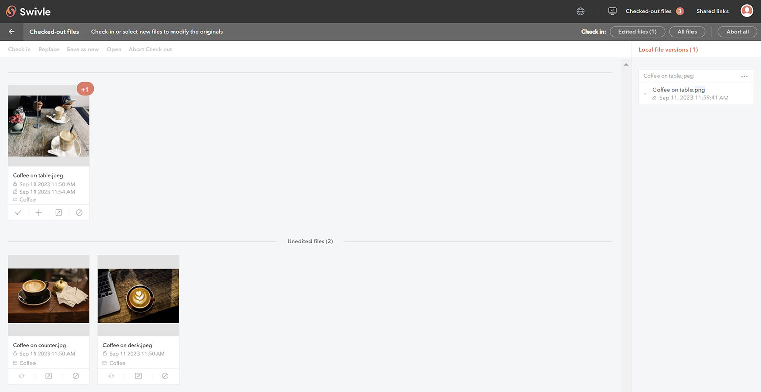 Files saved under a different name or as a different type appear as Related files on the Checked-out files page
