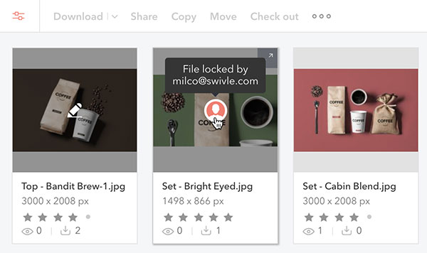 To indicate when a file is checked out, an icon appears on its thumbnail