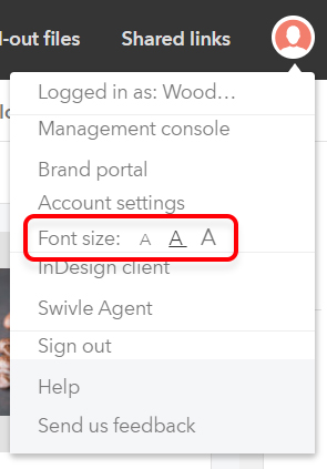 Changing the font size in the Avatar menu