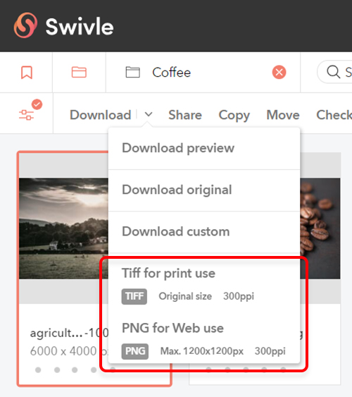 Download presets appear in the Download menu of a file