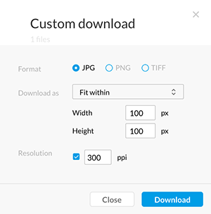 The Custom Download window