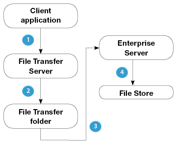 Enteprise Server transfer process simplified