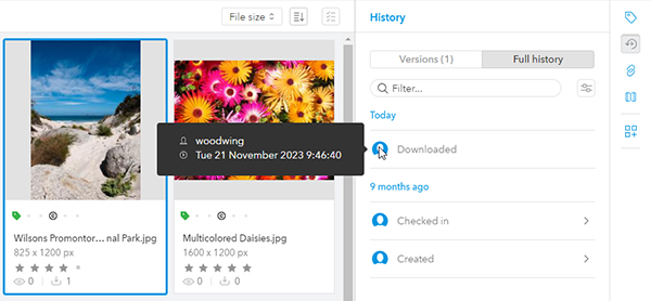 Viewing the name of the user who downloaded a file in the History panel