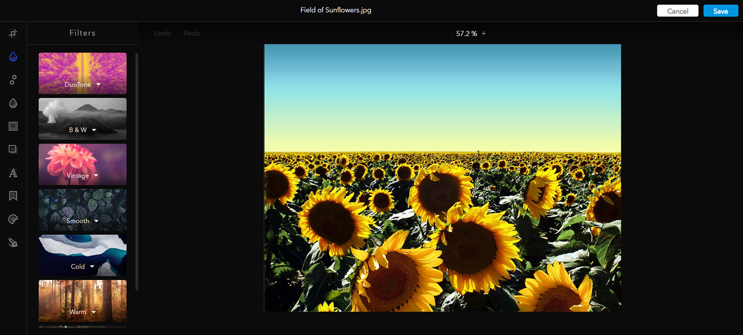 The Photo Editor in Assets