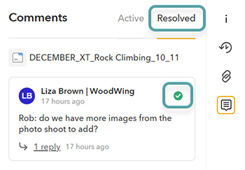 Resolved comments are shown in the Resolved tab of the Comments panel