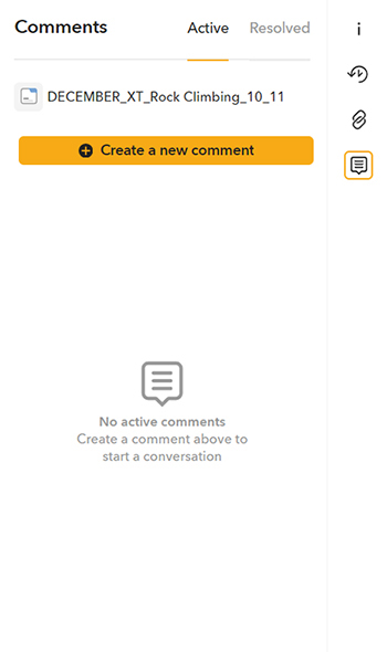 The Comments panel without any comments