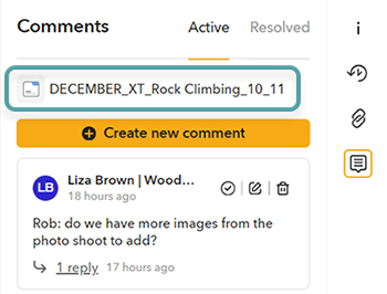 The Dossier icon and name at the top of the Comments panel