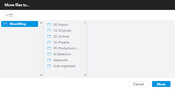The Move Files To dialog for selecting the location where selected files need to be moved to