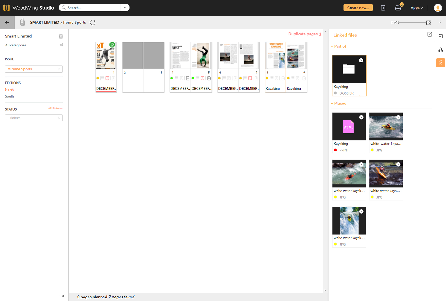 The Linked Files panel in the Publication Overview