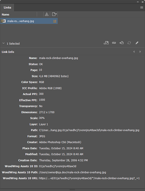 Swivle for InDesign information in the Info pane of the Links panel