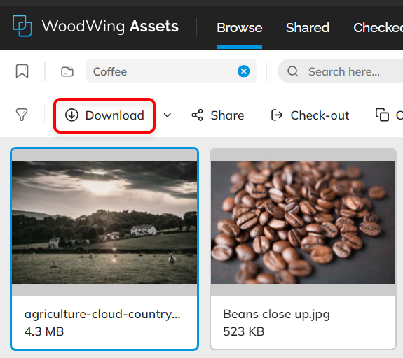The Download button in the menu bar to quickly download a file