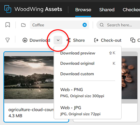 The chevron icon of the Download button to access additional download options