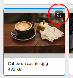 The icon on the thumbnail of a file to view the file in fullscreen mode