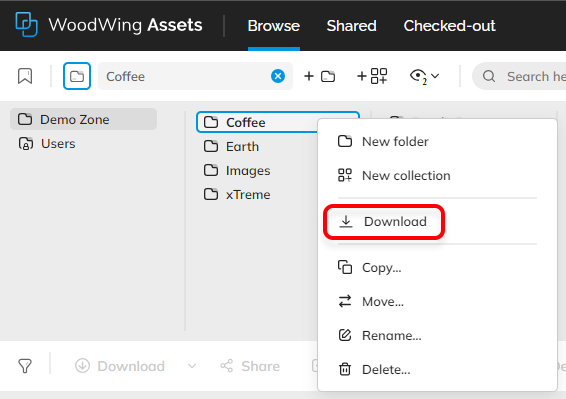 The option to download a folder and all its contents
