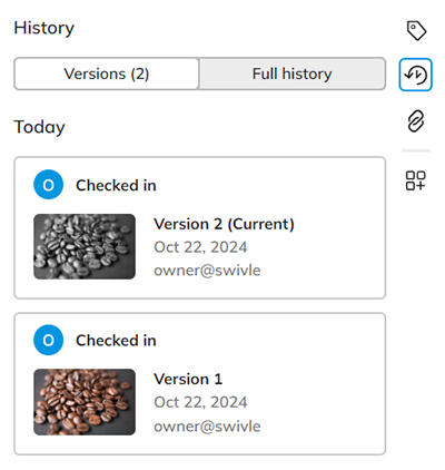 The History panel for viewing the history of a file