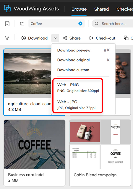 Download presets appear in the Download menu of a file