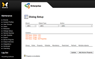 The Dialog Setup page of Enterprise Server