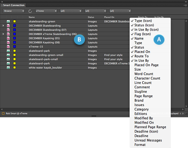 The Column List of the Smart Connection panel