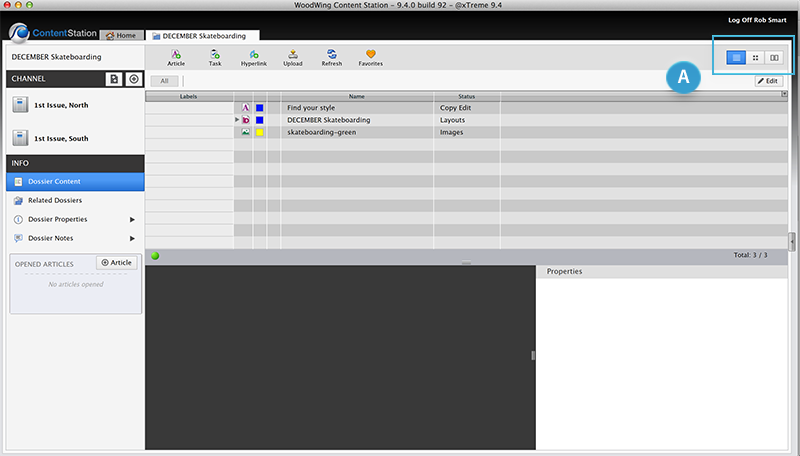 Document pane view buttons