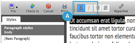 Toolbar buttons for applying bold or italic formatting
