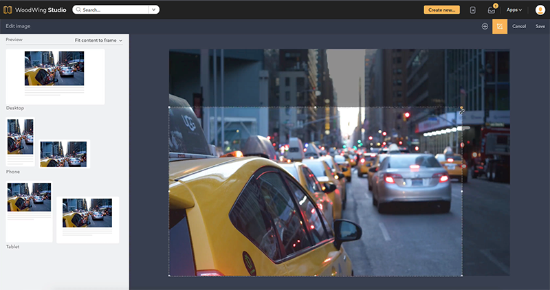 The cropping tool in the Digital editor
