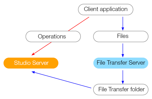 The file transfer workflow overview