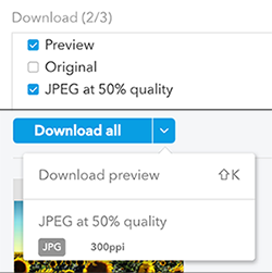 Example of using the download options of a Shared Link