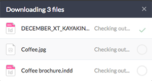 The Download Progress window