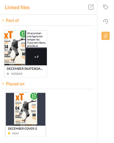The Linked files panel
