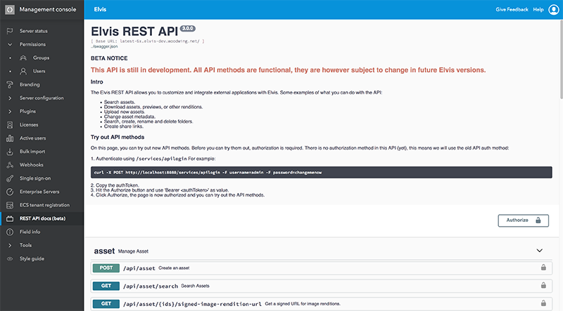 The REST API page in the Management Console