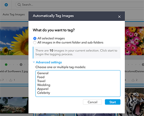 An action plug-in displayed as a modal window.