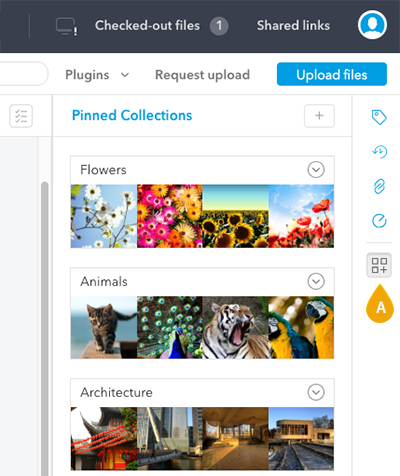 The Pinned Collections icon in Elvis 6.9 or higher