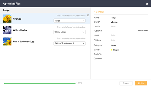 The Uploading Files window