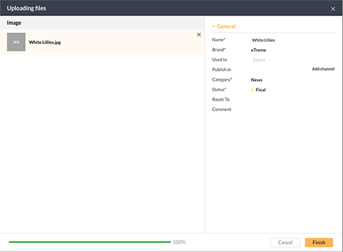 The Uploading files window