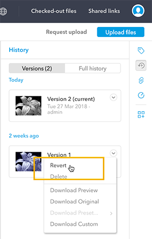 Reverting a file