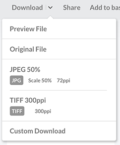Download presets