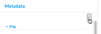 The Configure Metadata icon