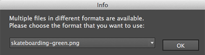 The dialog box for choosing the image
